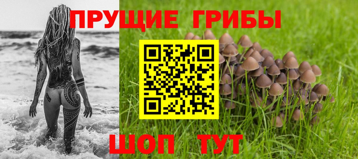 Псилоцибиновые грибы Cubensis  Вход с VPN  Прокопьевск 
